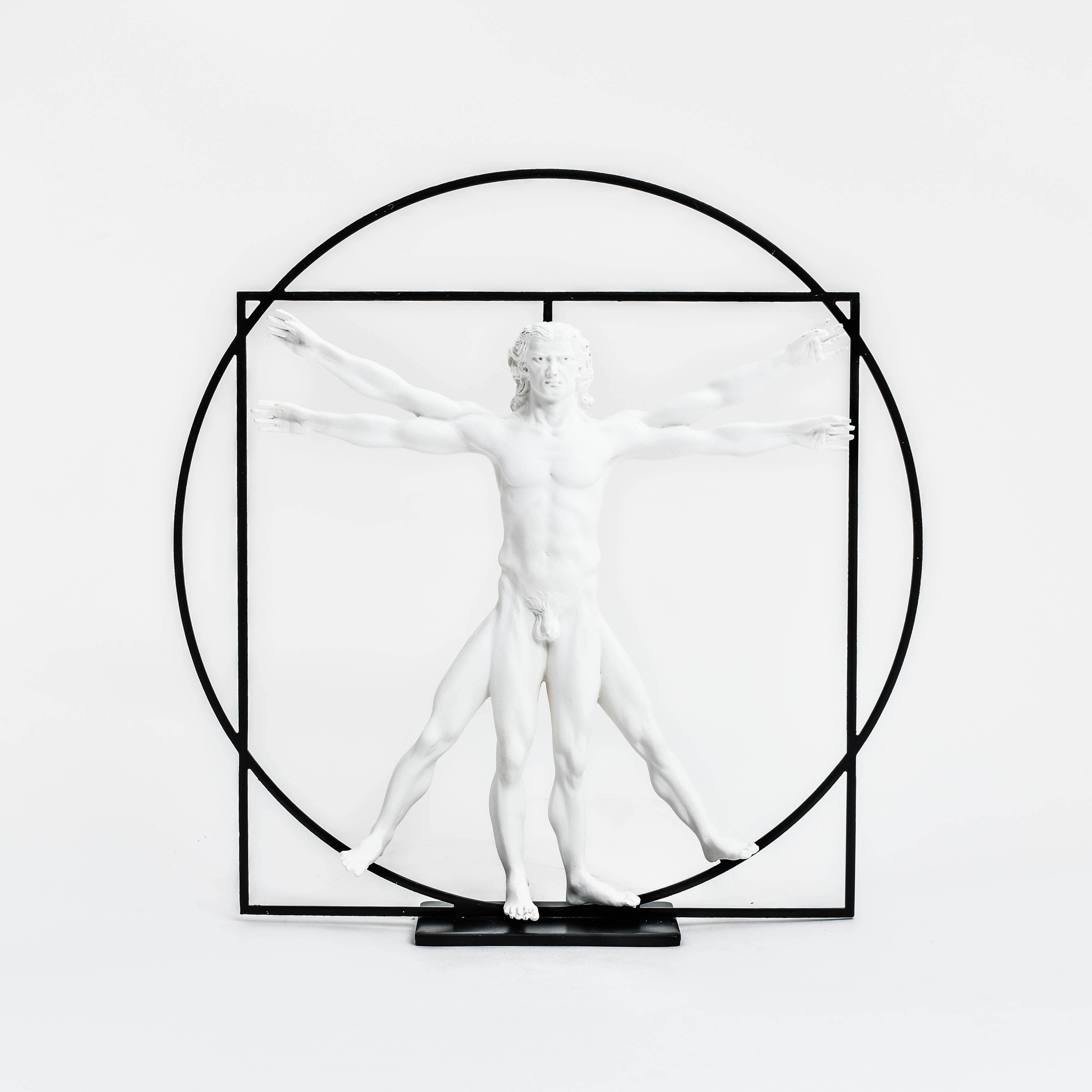 Da Vinci's Man van Vitruvius