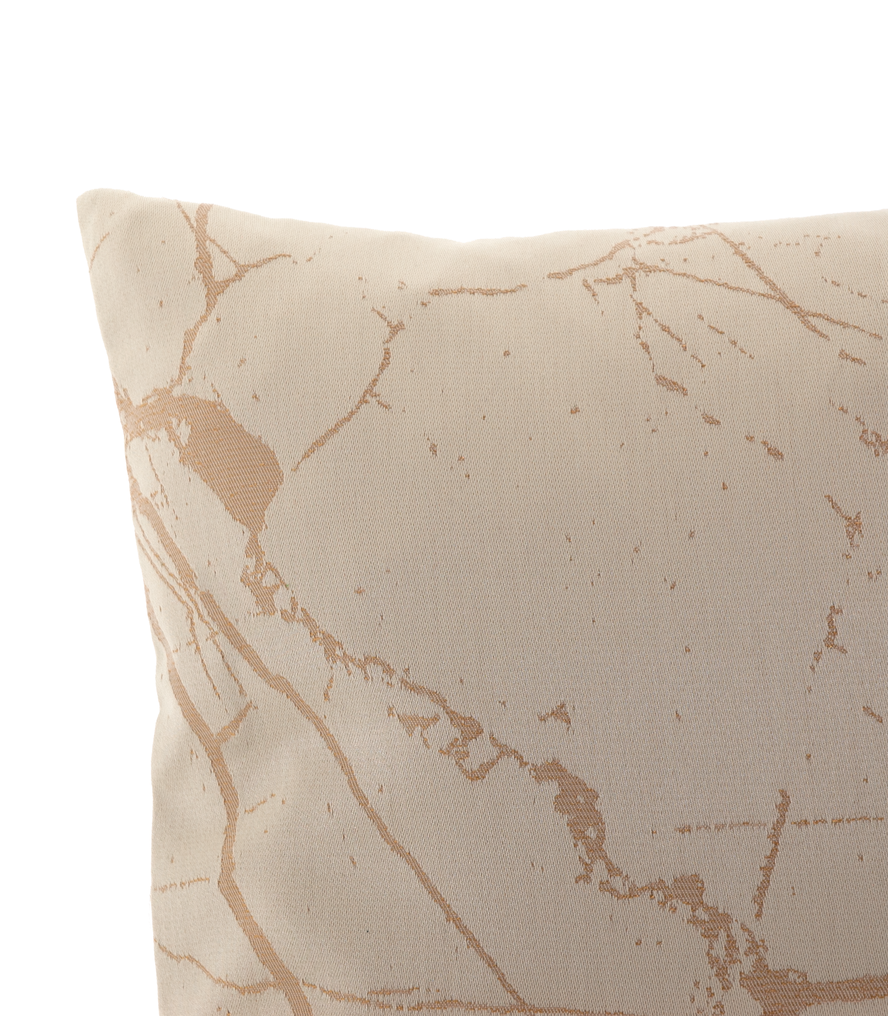 Kussen Parisch Detail