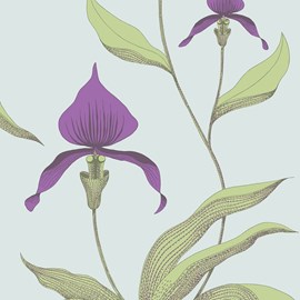 Behang Orchid